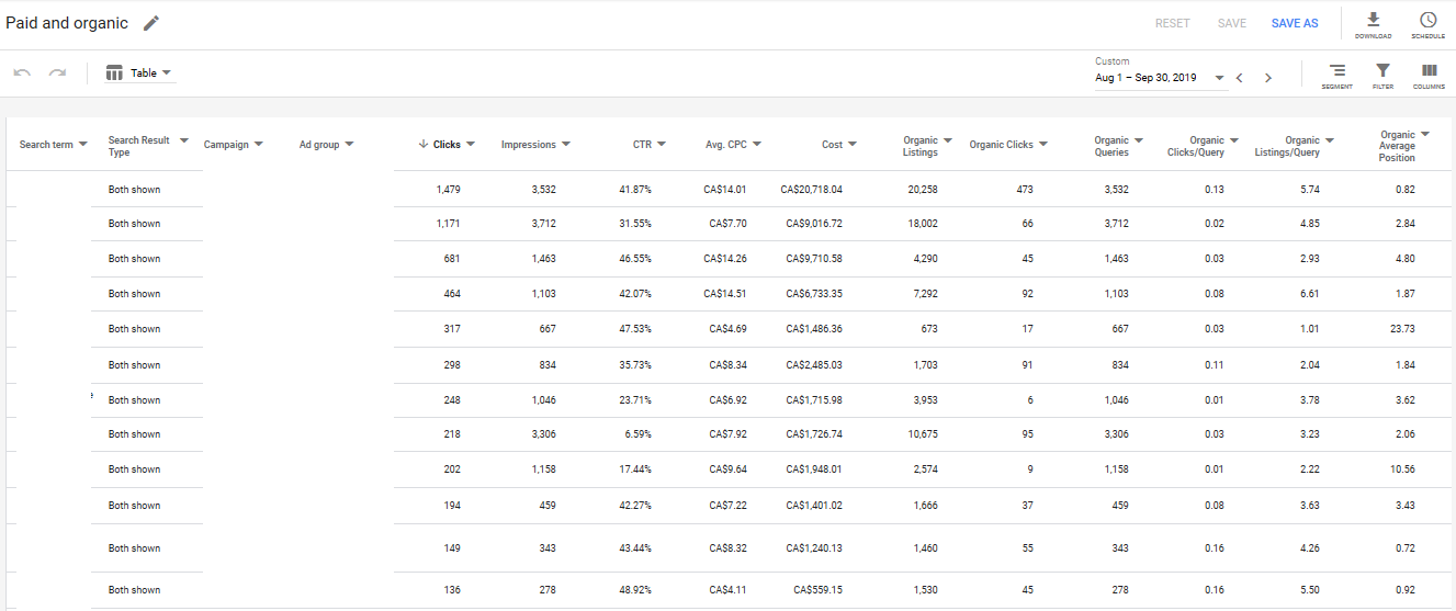 Sample of the Google Organic + Paid report.